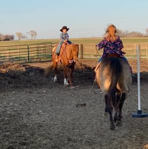 Meet your Posher, Shane